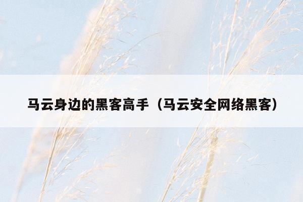 马云身边的黑客高手(马云安全网络黑客)