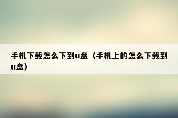 手机下载怎么下到u盘(手机上的怎么下载到u盘)