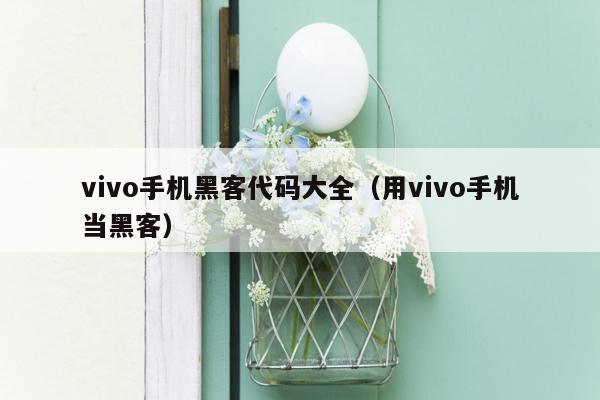 vivo手机黑客代码大全(用vivo手机当黑客)