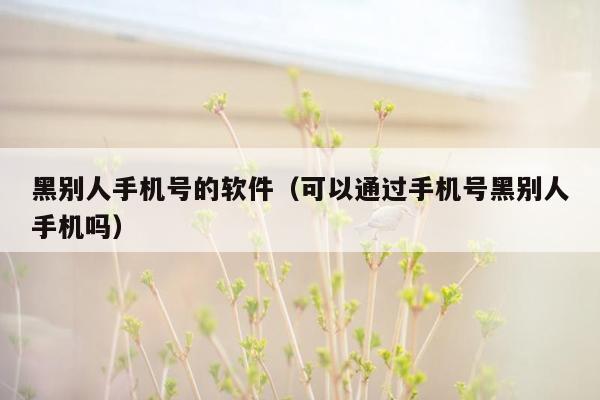 黑别人手机号的软件(可以通过手机号黑别人手机吗)