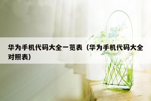 华为手机代码大全一览表(华为手机代码大全对照表)