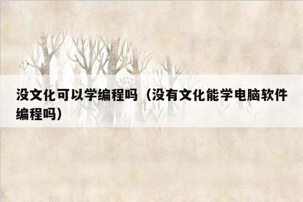 没文化可以学编程吗(没有文化能学电脑软件编程吗)