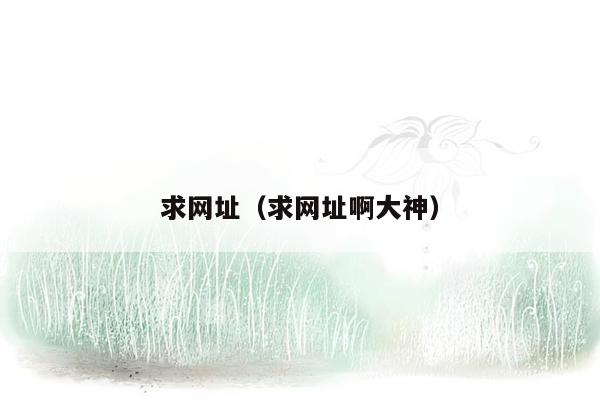 求网址(求网址啊大神)
