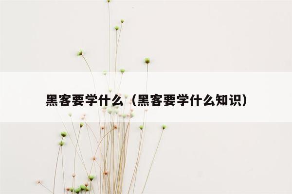 黑客要学什么(黑客要学什么知识)