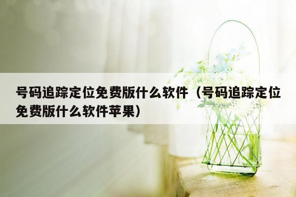 号码追踪定位免费版什么软件(号码追踪定位免费版什么软件苹果)