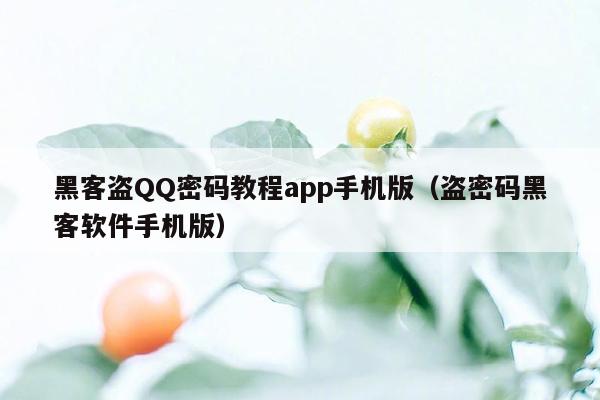 黑客盗QQ密码教程app手机版(盗密码黑客软件手机版)