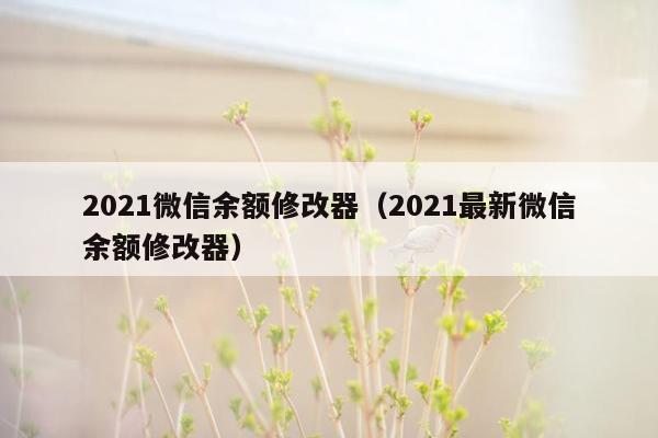 2021微信余额修改器(2021最新微信余额修改器)