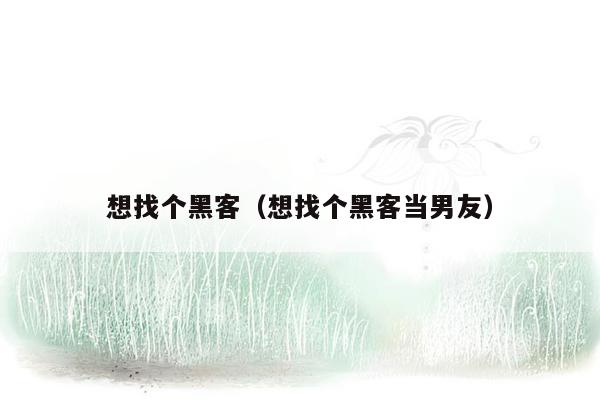 想找个黑客(想找个黑客当男友)