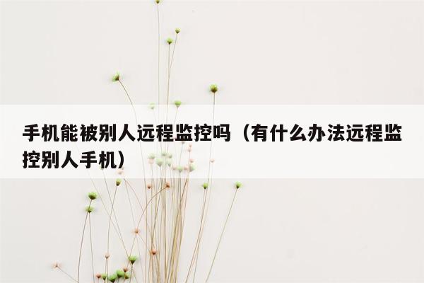 手机能被别人远程监控吗(有什么办法远程监控别人手机)