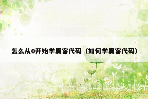 怎么从0开始学黑客代码(如何学黑客代码)