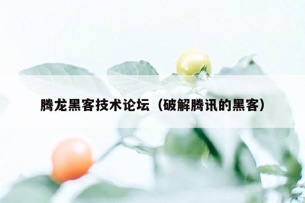 腾龙黑客技术论坛(破解腾讯的黑客)