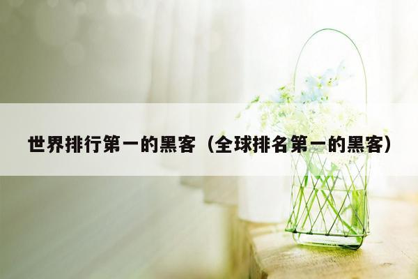 世界排行第一的黑客(全球排名第一的黑客)