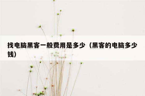 找电脑黑客一般费用是多少(黑客的电脑多少钱)