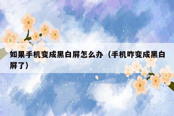 如果手机变成黑白屏怎么办(手机咋变成黑白屏了)