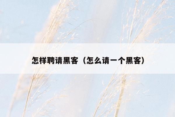 怎样聘请黑客(怎么请一个黑客)