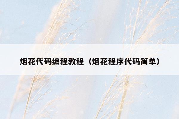 烟花代码编程教程(烟花程序代码简单)