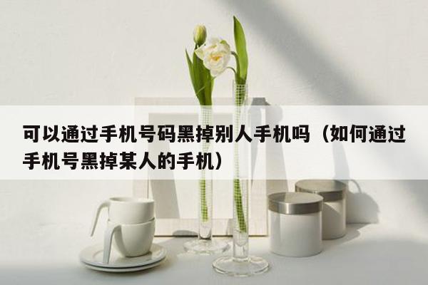 可以通过手机号码黑掉别人手机吗(如何通过手机号黑掉某人的手机)