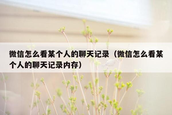 微信怎么看某个人的聊天记录(微信怎么看某个人的聊天记录内存)
