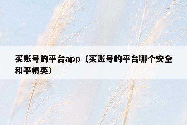 买账号的平台app(买账号的平台哪个安全和平精英)
