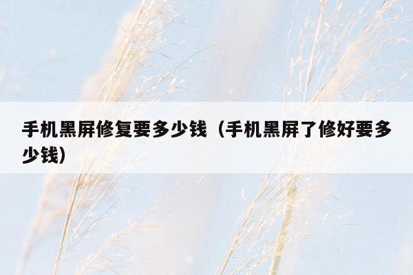 手机黑屏修复要多少钱(手机黑屏了修好要多少钱)