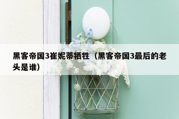 黑客帝国3崔妮蒂牺牲(黑客帝国3最后的老头是谁)