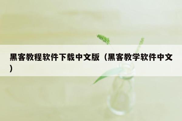 黑客教程软件下载中文版(黑客教学软件中文)