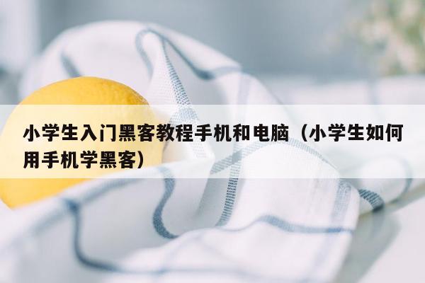 小学生入门黑客教程手机和电脑(小学生如何用手机学黑客)