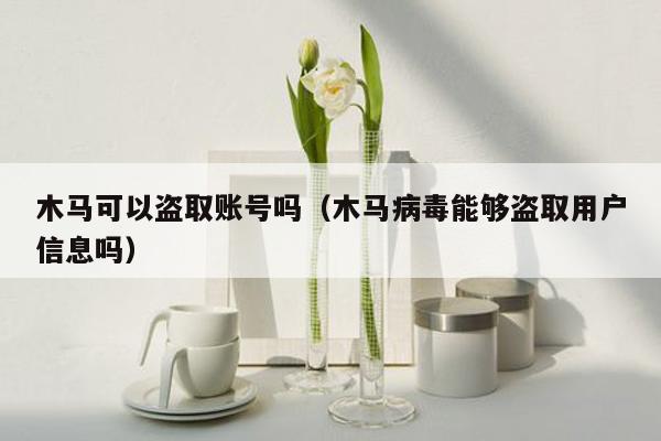 木马可以盗取账号吗(木马病毒能够盗取用户信息吗)