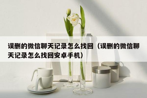 误删的微信聊天记录怎么找回(误删的微信聊天记录怎么找回安卓手机)