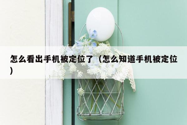 怎么看出手机被定位了(怎么知道手机被定位)
