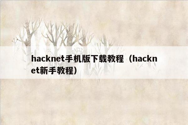 hacknet手机版下载教程(hacknet新手教程)