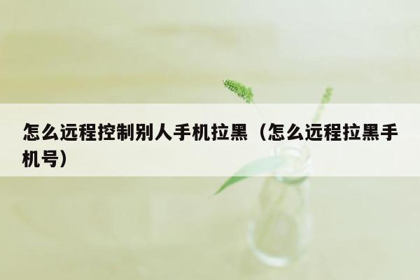 怎么远程控制别人手机拉黑(怎么远程拉黑手机号)