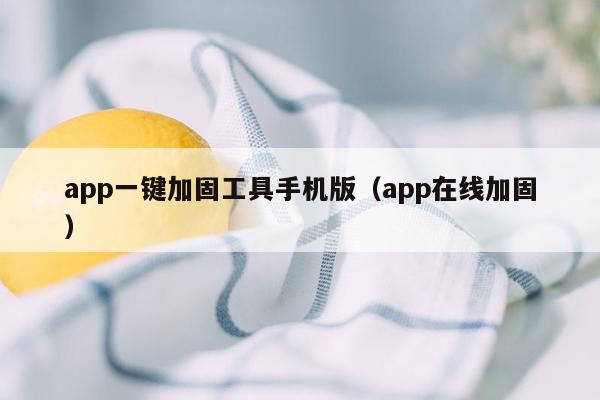 app一键加固工具手机版(app在线加固)