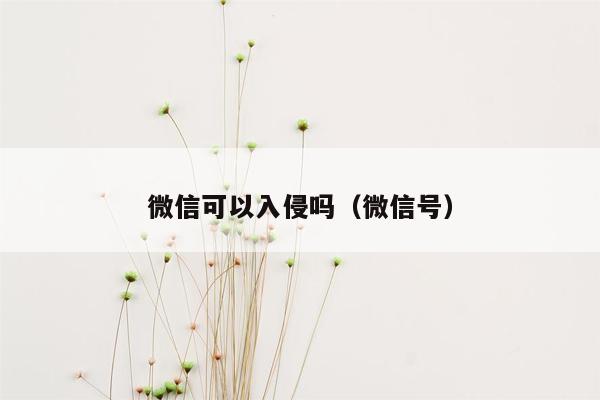 微信可以入侵吗(微信号)