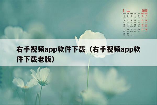 右手视频app软件下载(右手视频app软件下载老版)