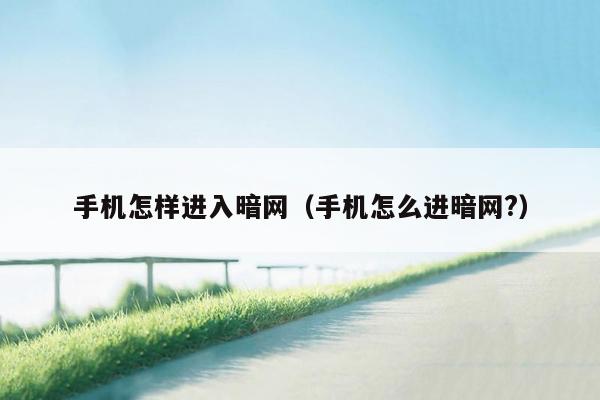 手机怎样进入暗网(手机怎么进暗网?)
