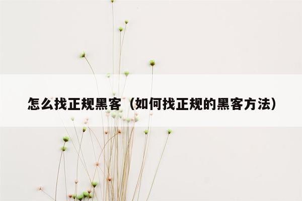 怎么找正规黑客(如何找正规的黑客方法)