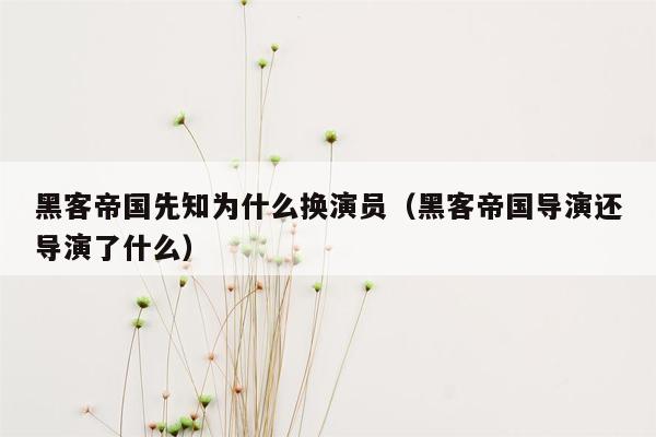 黑客帝国先知为什么换演员(黑客帝国导演还导演了什么)
