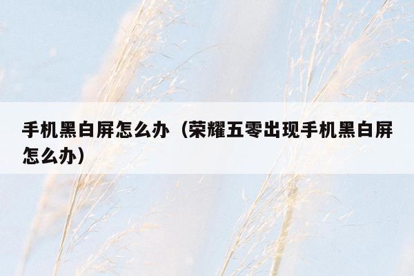 手机黑白屏怎么办(荣耀五零出现手机黑白屏怎么办)