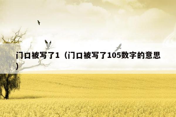 门口被写了1(门口被写了105数字的意思)