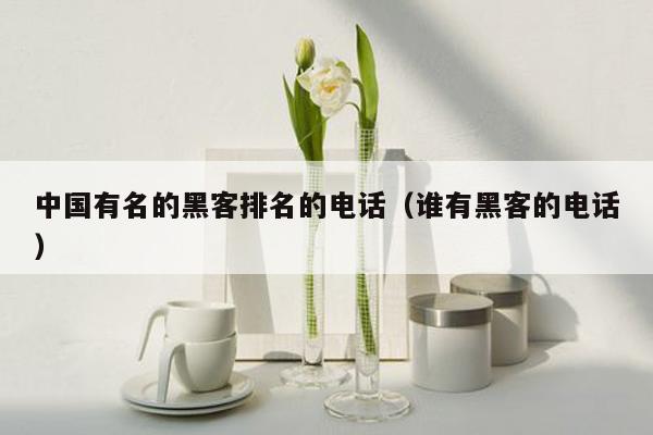 中国有名的黑客排名的电话(谁有黑客的电话)