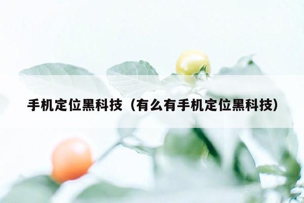 手机定位黑科技(有么有手机定位黑科技)