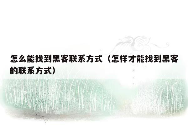 怎么能找到黑客联系方式(怎样才能找到黑客的联系方式)