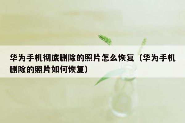 华为手机彻底删除的照片怎么恢复(华为手机删除的照片如何恢复)