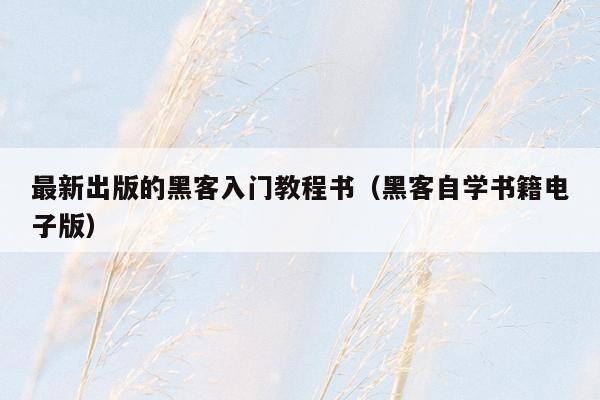 最新出版的黑客入门教程书(黑客自学书籍电子版)