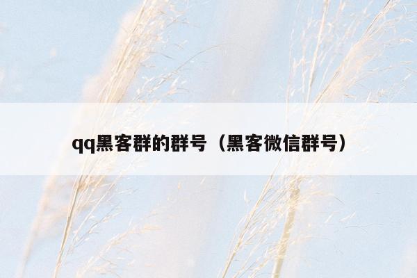 qq黑客群的群号(黑客微信群号)
