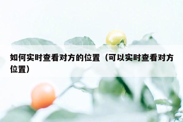 如何实时查看对方的位置(可以实时查看对方位置)