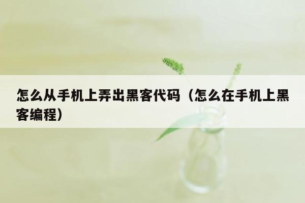 怎么从手机上弄出黑客代码(怎么在手机上黑客编程)