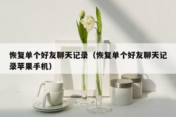 恢复单个好友聊天记录(恢复单个好友聊天记录苹果手机)