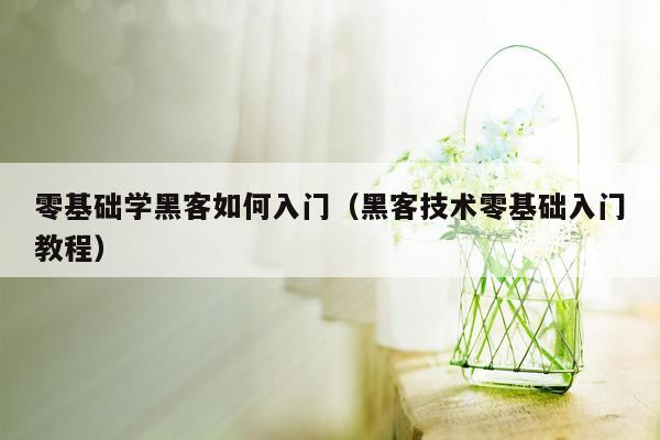 零基础学黑客如何入门(黑客技术零基础入门教程)